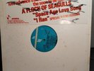 A FLOCK OF SEAGULLS Space Age Love Song / I Ran 12