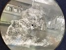 Rage Against The Machine. 20th Anniversary Picture Disc. Near Mint   Fast Ship