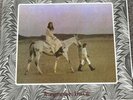 NICO - DESERTSHORE [2002] LP record 180-Gram Vinyl, 4 Men With Beards 4M113 - EX