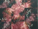 Say She She - PRISM - RED LP Signed by whole Band and the Girls