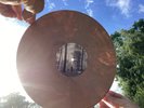 Taylor Swift- Folklore In the Trees Marble Vinyl