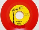 THE INTRUDERS - COME HOME SOON/ I'M SOLD (ON YOU) on LOST•NITE RECORDS