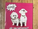 Are You Satisfied? by Slaves / SOFT PLAY Vinyl