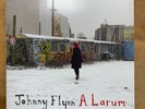 Johnny Flynn - A Larum | VG+ | 2XLP | Gatefold | 2008 |