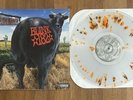 Blink 182 DUDE RANCH Clear w/ Orange & Brown SPLATTER vinyl LP record color rare