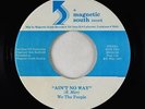 Modern Soul 45 - We The People - Ain't No Way - Magnetic South - VG+