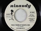 Northern Soul 45 - Cashmeres - Finally Waking Up (Bashful Man) - Ninandy - VG++