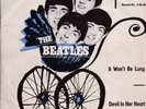 THE BEATLES / *It Won't Be Long* / RAR  / Amiga / THE BEATLES