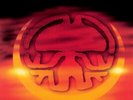 Rabbit In The Moon - Phases Of An Out-Of-Body Experience (12