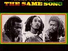 Israel Vibration ‎– The Same Song Lp Vinile