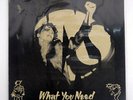 INXS WHAT YOU NEED / THE VERY BEST OF INXS 1983 - 1986 WEA PS282 JAPAN VINYL LP