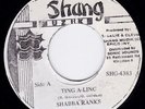 Shabba Ranks - Ting A-Ling (7