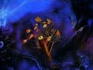 On the Threshold of a Dream by Moody Blues (Record, 2018)