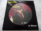 NIRVANA   IN BLOOM ** 1992 UK GEFFEN 12