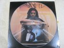 The Doors Picture Disc The End vinyl LP