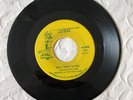 SHADDEN & THE KING LEARS , rock GARAGE   60'S TENNESSEE