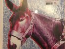 Protomartyr (2) Ultimate Success Today - LP 33T
