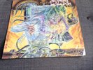 Excel - Split Image LP  (Punk/Hardcore/Thrash/Metal) CAROLINE 1987 (US IMPORT)