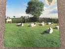 KLF Chill Out 1st UK Press Vinyl LP KLF Communications JAMSLP5 1990