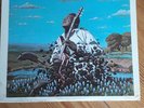 Freddie King - Texas Cannonball-1972 Shelter Records LP Blues (13)