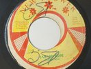 Rising Son - Jah Jah Robe - Reggae 7