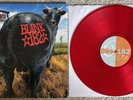 blink-182 - Dude Ranch Vinyl Record LP - Limited Edition Red - EX Condition