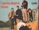 Electric Prunes I Had Too Much To Dream 7