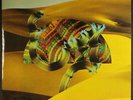 DJANGO DJANGO: django django BECAUSE MUSIC  12