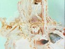 Pale Saints In Ribbons [2LP Deluxe] Vinyl New