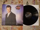 Rick Astley Whenever You Need Somebody Vinyl Record LP RCA Victor VG+