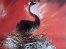 Depeche Mode- Speak and Spell-LP-original 1981-Sire-XSR 3642-1st Can Press