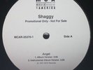 Shaggy Angel (Vinyl)