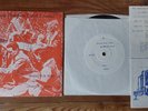 NEUTRAL MILK HOTEL v/a 