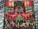 Pantera 