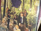 THE LITTLE BOY BLUES IN THE WOODLAND OF WEIR LP RE BONUS TRACKS GERMAN VG +VINYL
