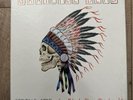 Grateful Dead , Spring 1990: So Glad You Made It 4 LP SET Vinyl