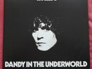 T Rex Dandy In The Underworld Deluxe 2 Vinyl LP RARE David Bowie Roxy Music Glam