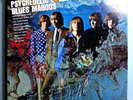 BLUES MAGOOS PSYCHEDELIC LOLLIPOP RARE ORIG'67 MERCURY MONO LP GARAGE CLASSIC NM