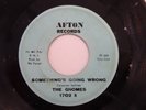 THE GNOMES SKY FALLING/GOING WRONG 45 CRAZY RARE 1966 AFTON NUGGETS GARAGE FUZZ