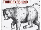 Third Eye Blind ‎- Ursa Major LP - SWIRL COLORED VINYL ALBUM RECORD