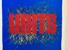 Units - Baby You Flirt / Grill Room Rare Oz New Wave 45