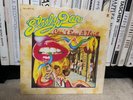 Steely Dan 