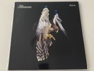 The Courteeners - Falcon, RSD White Vinyl. Mint.