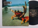 The Prodigy - The Fat Of The Land - UK 1st Press 1997 XLLP 121 EX+
