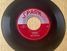 Willy and Ruth 1954 R&B DUET 45 Farewell /Come A Little Bit Closer SPARK M- HEAR