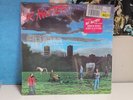 Mr. Mister Welcome To The Real World AFL1 7180 In Shrink Hype Sticker -NMINT