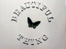 The Stone Roses Beautiful Thing 12