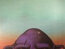 THEE OH SEES - Orc - Vinyl (2xLP)