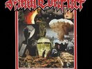 Final Conflict - Ashes To Ashes LP - vinyl NEW
