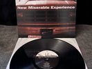Gin Blossoms - New Miserable Experience - 2017 Repress A&M Records